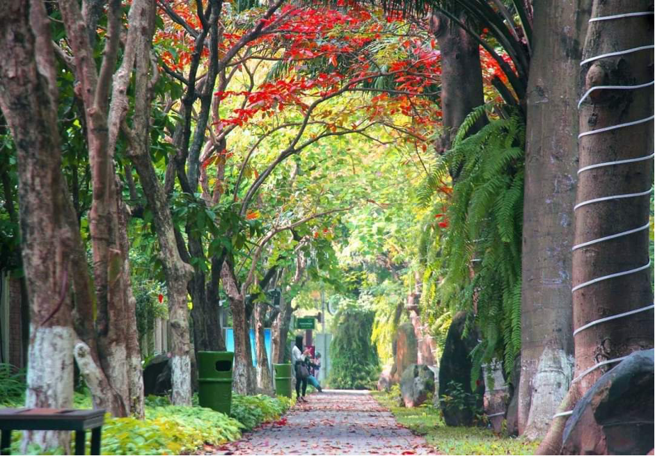 Ngoài những vỉa hè nói không với bê tông, các cung đường tại Ecopark cũng được thiết kế trên nguyên tắc tôn trọng tự nhiên tuyệt đối. Ngoài những cung đường sử dụng đá xanh, gạch không nung, Ecopark nổi tiếng với cung đường trải cỏ nhật xanh mướt. Những con đường này len lỏi giữa rừng hoa muôn sắc, chạy qua những cây cầu hoa giấy nổi tiếng của khu đô thị, nổi  trên mặt nước rộng mênh mông, mát rượi dưới những rặng cây xanh ngút ngàn. Những cung đường này đẹp và thơ đến mức được cư dân mệnh danh là những cung đường 5 giác quan, 6 giác quan.