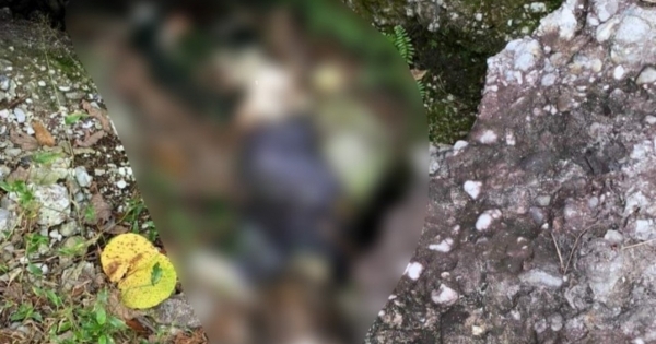 Quảng Ninh: Bàng hoàng phát hiện thi thể đã phân hủy trong rừng