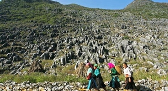 Hà Giang sẽ thu phí tham quan Cao nguyên đá Đồng Văn