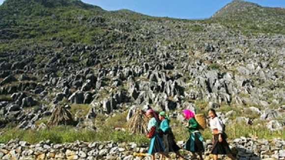 Hà Giang sẽ thu phí tham quan Cao nguyên đá Đồng Văn