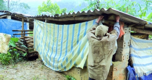 Chuẩn bị tốt công tác phòng, chống đói rét cho gia súc mùa đông