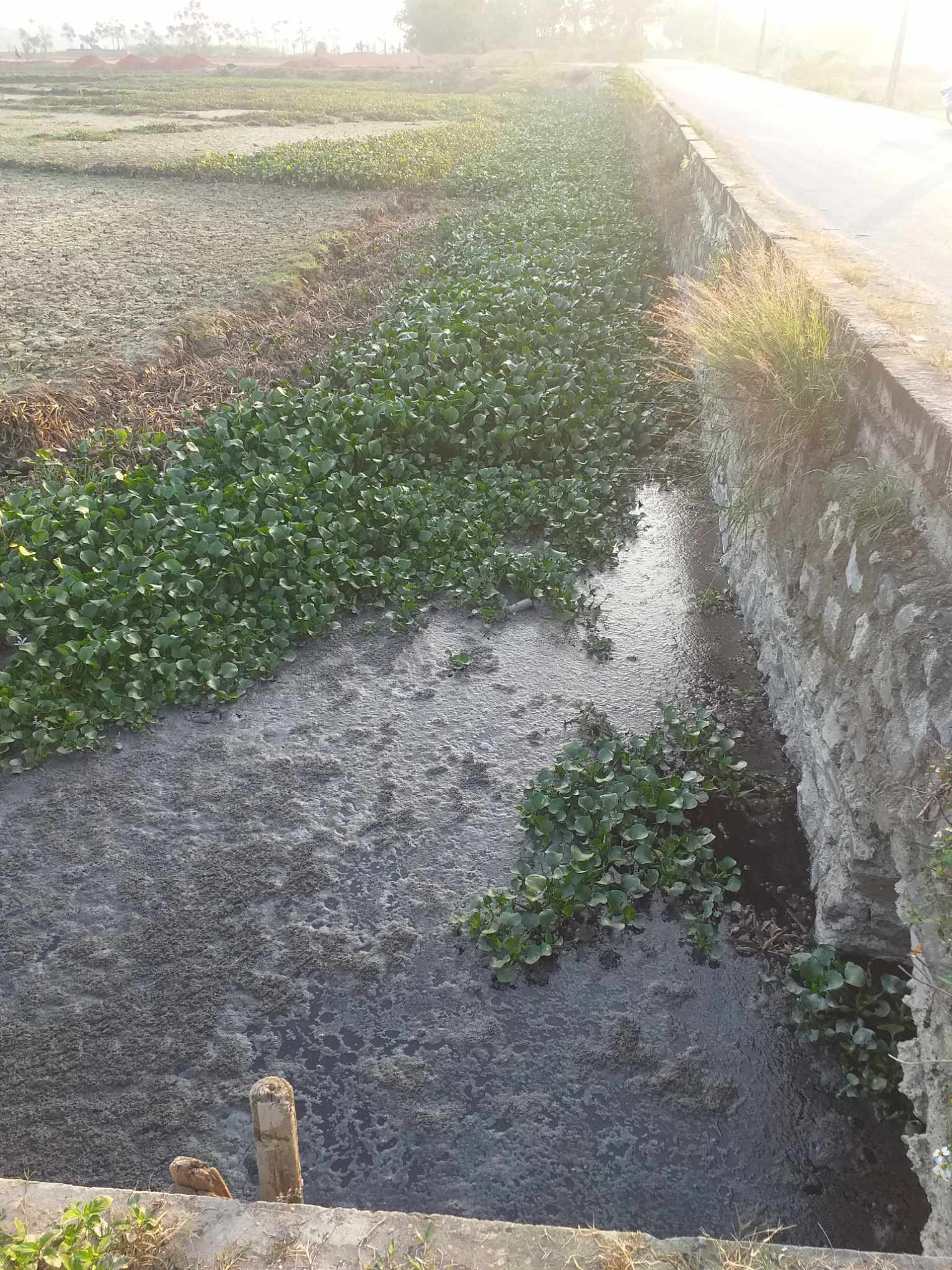 371524868_3498934037035829_4954748008360817297_n