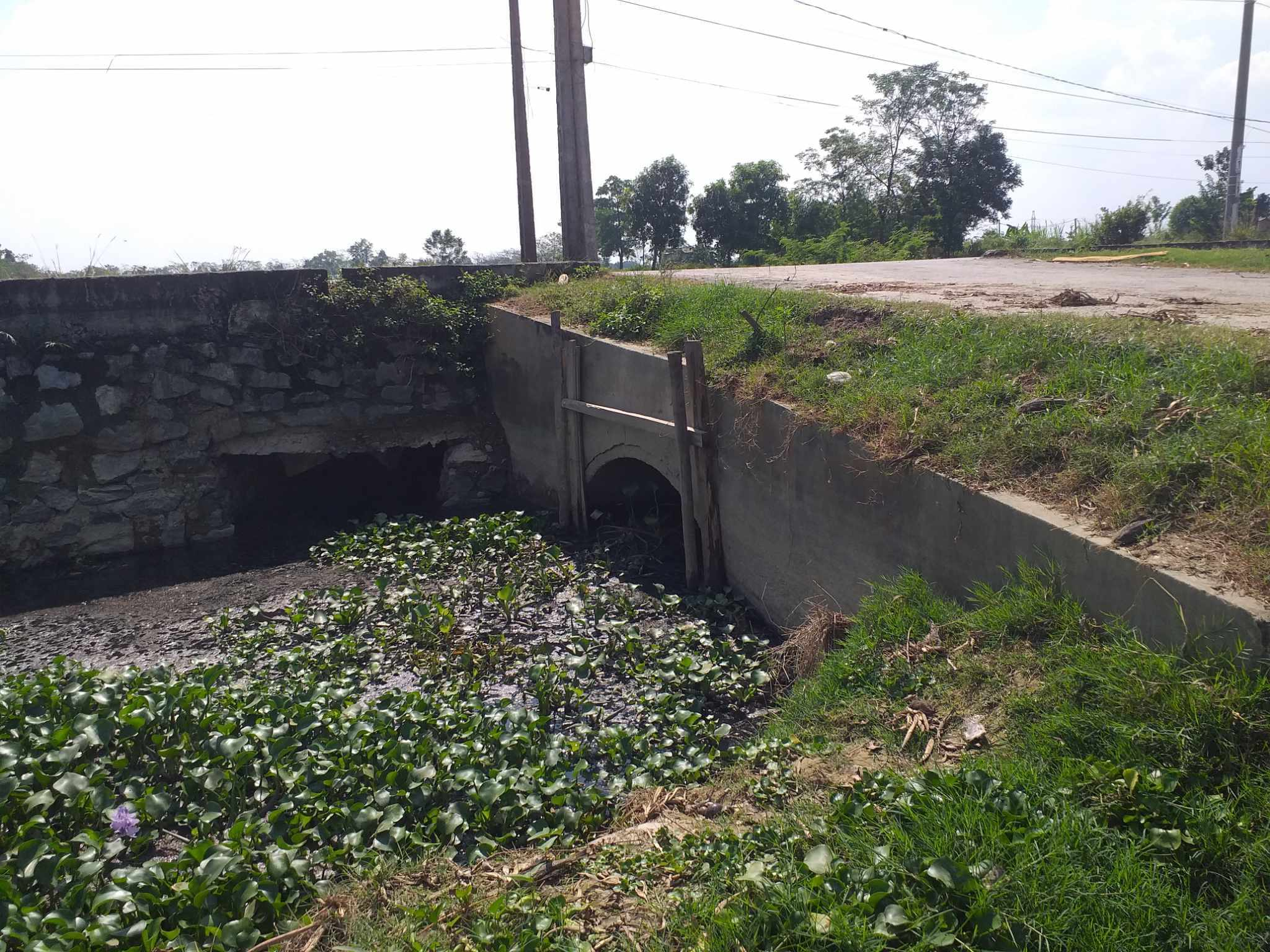 368017813_1044252696612341_1780802572775329915_n