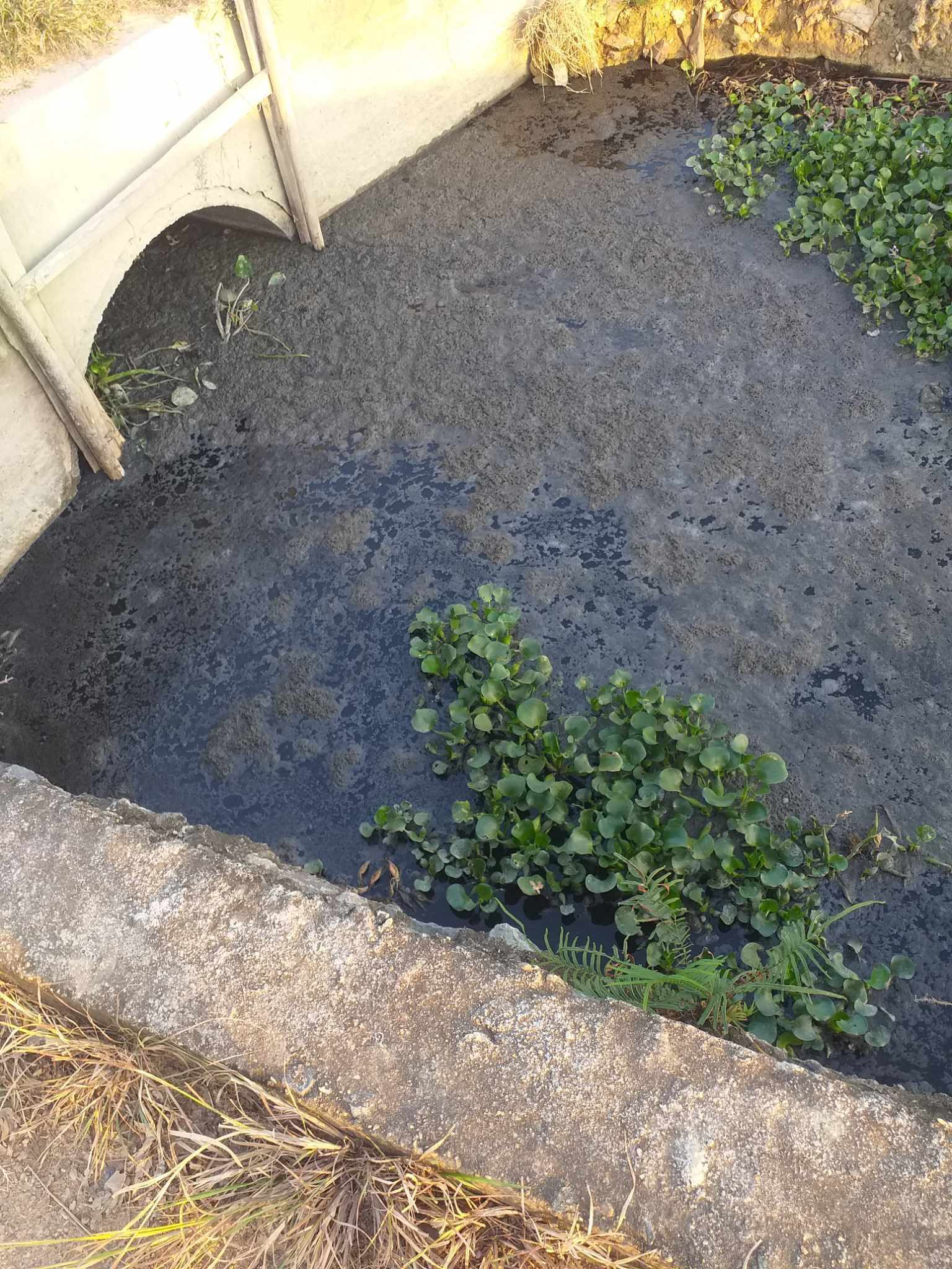 380604574_7140604012669089_1743417499721432797_n