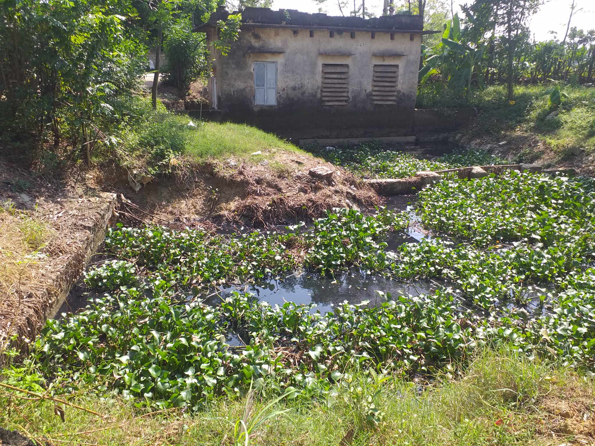 z4853565315545_6e7fdbaffce18d702b54ffe5418470f0