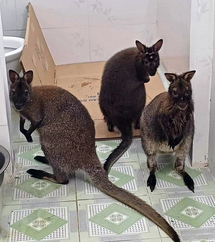 16e64be551a9b8f7e1b8