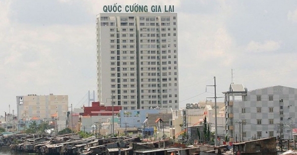 Tại sao Quốc Cường Gia Lai (QGC) bị truy thu thuế hơn 550 triệu đồng