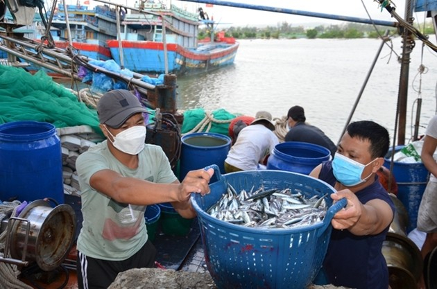 (Ảnh minh họa: baodautu.vn)