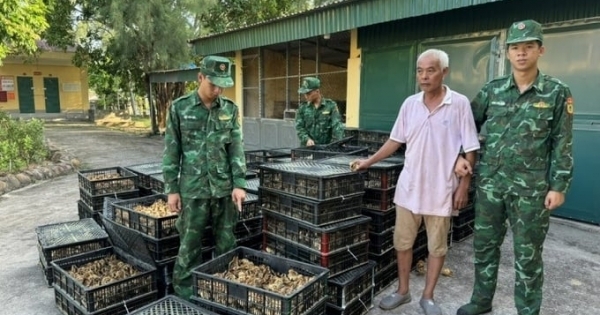 Quảng Ninh: Xử lý gần 2.400 vụ buôn lậu, gian lận thương mại và hàng giả