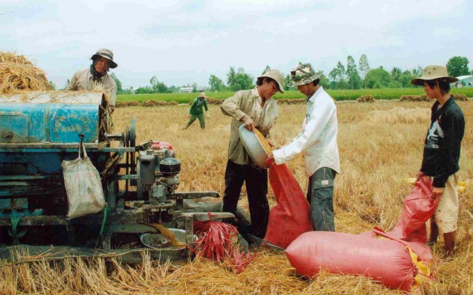 Cần nhiều ch&iacute;nh s&aacute;ch để người n&ocirc;ng d&acirc;n y&ecirc;n t&acirc;m với đồng ruộng.