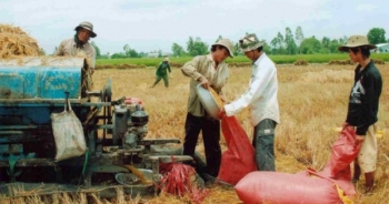 Đảm bảo an ninh lương thực:Phải “níu” nông dân  ở lại với ruộng đồng