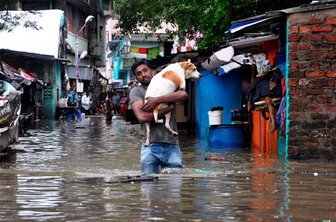 7. Lực lượng quân dội và Hải quân Ấn Độ đã tham gi