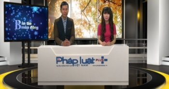 Bản tin mùa Đông Plus (No1)