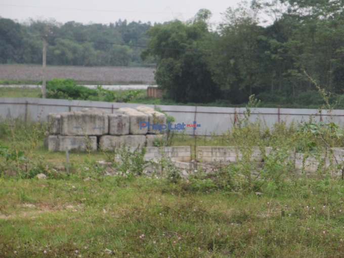 Ph&uacute; Thọ: Cận cảnh dự &aacute;n nh&agrave; ở x&atilde; hội gần 500 tỷ bỏ hoang