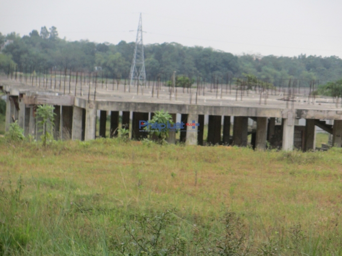 Xung quanh s&agrave;n tầng 1 cỏ mọc um tủm khiến cảnh vật xung quanh trở n&ecirc;n hoang sơ.