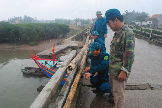 UBND x&atilde; Diễn Kim phải huy động người đem th&acirc;n c&acirc;y gia cố lan can cầu. (Ảnh: Duy Ngợi).