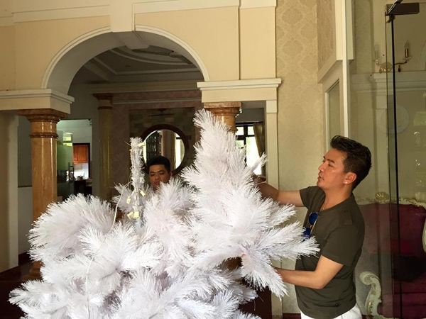 Đ&agrave;m Vĩnh Hưng cầu kỳ tự mua sắm v&agrave;  trang tr&iacute; c&acirc;y th&ocirc;ng Noel
