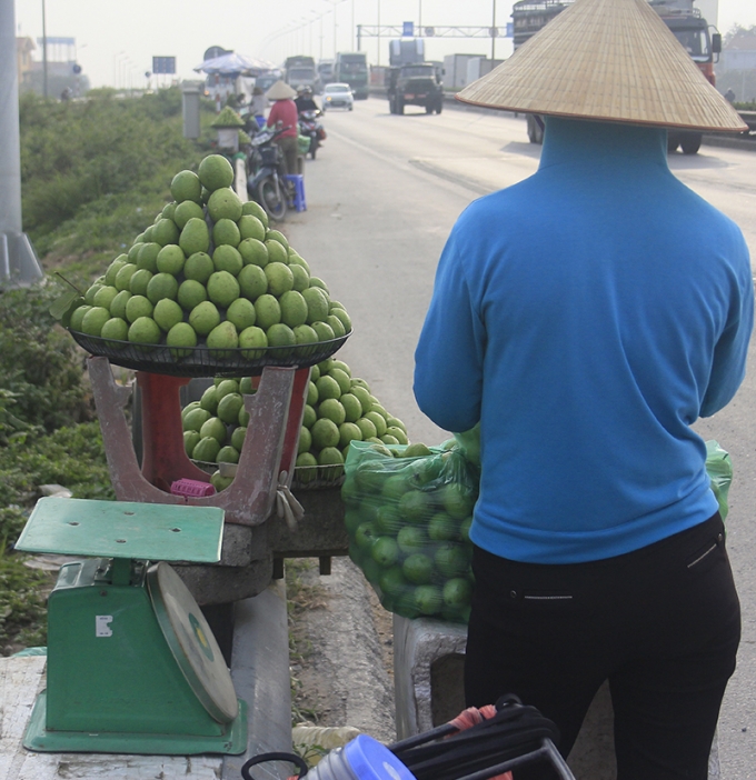 Dự &aacute;n cao tốc H&agrave; Nội - Hải Ph&ograve;ng được khởi c&ocirc;ng từ th&aacute;ng 5/2008 với tổng đầu tư 45.487 tỷ đồng từ nguồn vốn vay của Ng&acirc;n h&agrave;ng ph&aacute;t triển Việt Nam. To&agrave;n tuyến d&agrave;i 105 km, trong đ&oacute;&nbsp;6 km chạy qua H&agrave; Nội, 26 km qua Hưng Y&ecirc;n, 40 km qua Hải Dương v&agrave; 33 km qua Hải Ph&ograve;ng. Đ&acirc;y l&agrave; tuyến đường rất quan trọng, tuy nhi&ecirc;n, kh&ocirc;ng ai d&aacute;m chắc điều g&igrave; sẽ xảy ra khi hiện tượng