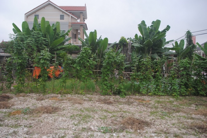 Người d&acirc;n tận dụng mặt tiền Di chỉ khảo cổ học trồng rau (ảnh Duy Ngợi).