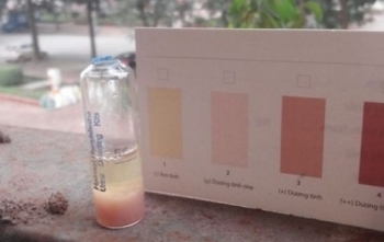 Bản tin Sức khỏe Plus 24/7: “Cơn khát” vaccine Quinvaxem 5 trong 1