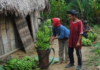 Không để 580 Phó Chủ tịch  xã nghèo phải “bơ vơ”