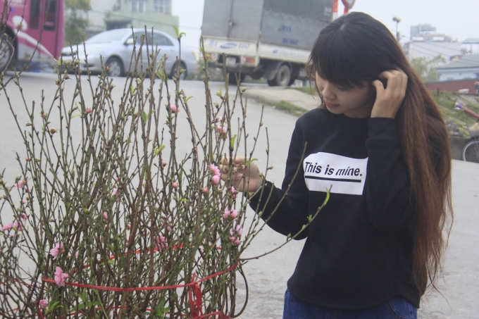 Theo những người b&aacute;n đ&agrave;o tiết lộ, những c&agrave;nh đ&agrave;o n&agrave;y sẽ chơi được tới s&aacute;t Tết &acirc;m lịch