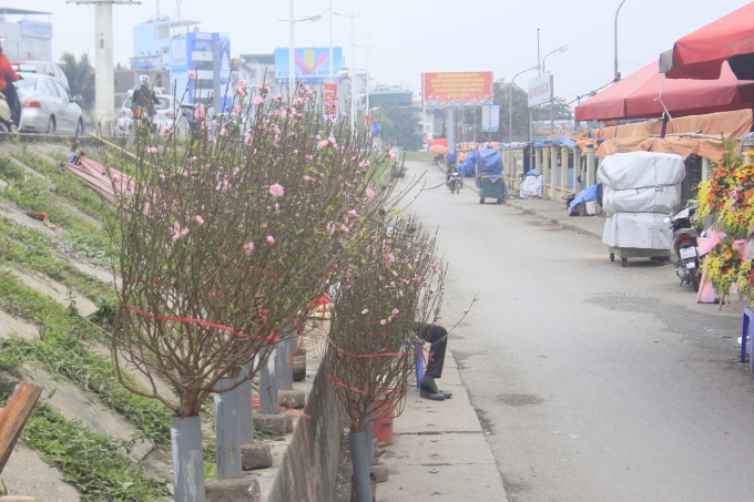 Hương Tết sớm tr&agrave;n về thủ đ&ocirc;