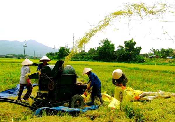 Những ch&iacute;nh s&aacute;ch mới c&oacute; hiệu lực từ th&aacute;ng 12