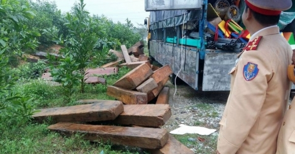 Thừa Thiên-Huế: Bị phát hiện vận chuyển gỗ lậu, kẻ cầm đầu đạp cửa xe trốn thoát