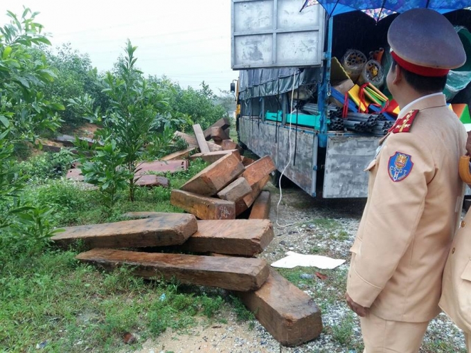 Một lượng gỗ lớn kh&ocirc;ng c&oacute; giấy tờ hợp lệ bị ph&aacute;t hiện.