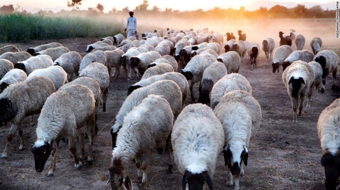 Bức ảnh c&oacute; chủ đề