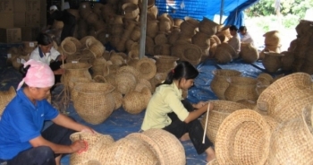 Sửa đổi quy định về Quỹ Hỗ trợ phát triển hợp tác xã