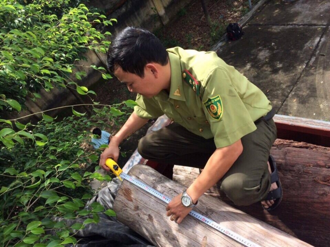 Lực lượng kiểm l&acirc;m kiểm tra đo đạc số gỗ tr&ecirc;n.