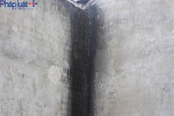 R&ecirc;u xanh bắt đầu mọc khắp c&aacute;c bức tường chưa ho&agrave;n thiện.