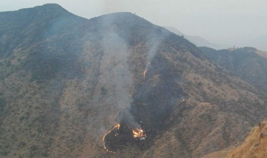 Khu vực m&aacute;y bay&nbsp;Pakistan gặp tai nạn. (Ảnh: Dailymail)