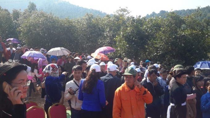 Quảng Ninh: Biển người n&aacute;o nức tham gia Hội hoa sở 2016