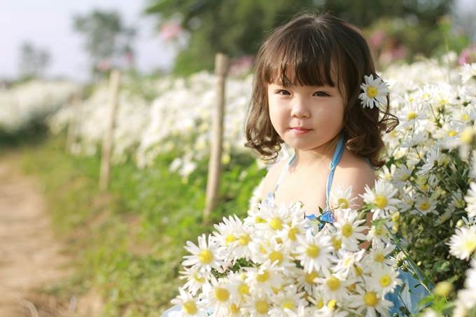 Hoa c&uacute;c họa mi hay c&ograve;n gọi l&agrave; Baby's pet hay Bairnwort c&oacute; nghĩa l&agrave; hoa của trẻ em. Những b&ocirc;ng b&ocirc;ng b&eacute; nhỏ đồng đều, trắng muốt chụm v&agrave;o nhau, rung rinh trong từng cơn gi&oacute;, bung tỏa hương sắc trong nắng v&agrave;ng hoe như t&ocirc; th&ecirc;m n&eacute;t đẹp trong s&aacute;ng của thi&ecirc;n thần b&eacute; nhỏ.