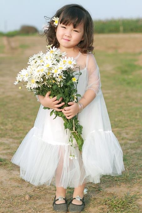 Kh&ocirc;ng những tượng trương cho sức sống trong s&aacute;ng, thuần khiết; c&uacute;c họa mi c&ograve;n được v&iacute; như lo&agrave;i hoa của l&ograve;ng hiếu thảo, của t&igrave;nh cảm gia đ&igrave;nh đầm ấm thiết tha...