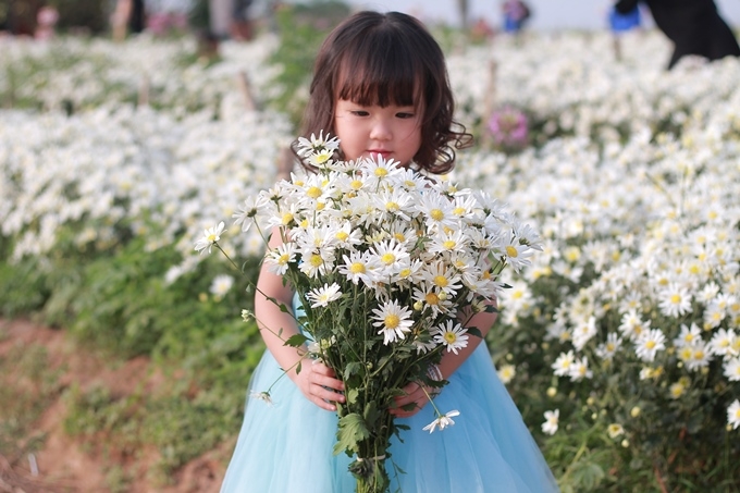 Lo&agrave;i hoa b&eacute; nhỏ m&agrave; cao qu&yacute;, được chiều chuộng, được chăm s&oacute;c, n&acirc;ng liu...như ch&iacute;nh những g&igrave; trẻ thơ cần được hưởng.