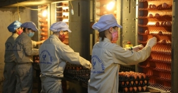 Điểm báo ngày 13/12/2016: Chăn nuôi sẽ là ngành hàng xuất khẩu mũi nhọn