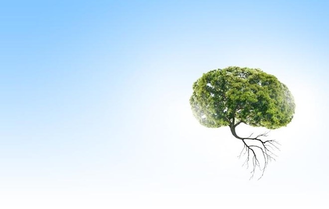 8 dấu hiệu cảnh b&aacute;o phổi c&oacute; vấn đề