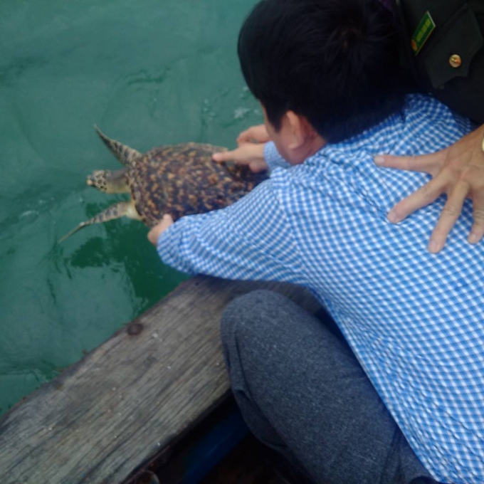 V&agrave; được cứu khỏi b&agrave;n nhậu thả về với m&ocirc;i trường biển.