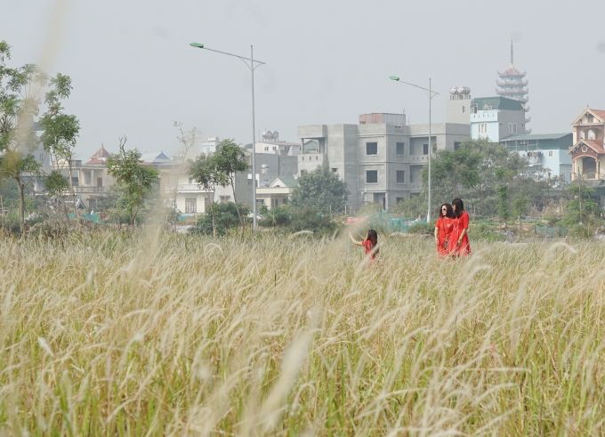Với vẻ đẹp ngỡ ng&agrave;ng ngay giữa khu đ&ocirc; thị khiến cho nhi&ecirc;u người d&acirc;n th&iacute;ch th&uacute;.
