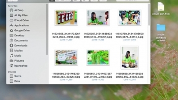 Cách tải toàn bộ album ảnh bạn bè trên Facebook