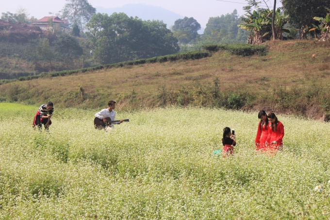 Vườn hoa bắt mắt ẩn hiện trong những thửa ruộng h&uacute;t hồn du kh&aacute;ch.