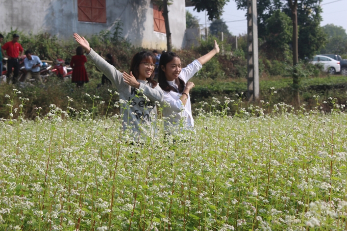 Giới trẻ h&agrave;o hứng check in tại vườn hoa.