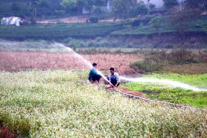 D&agrave;y c&ocirc;ng chăm s&oacute;c vườn hoa sau mỗi buổi l&agrave;m việc