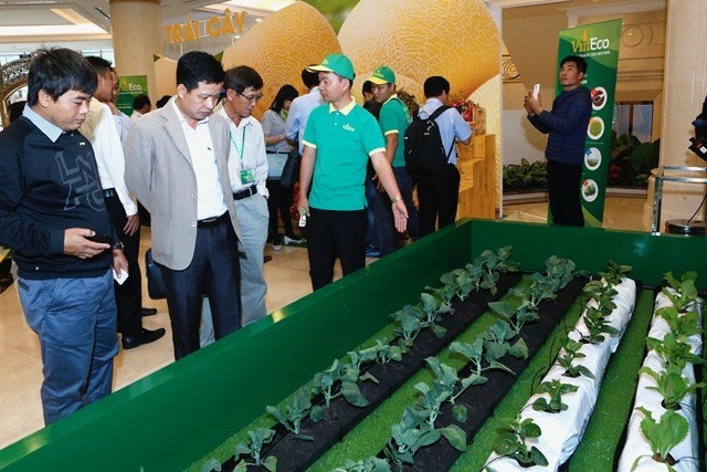 C&aacute;c hộ sản xuất tham quan m&ocirc; h&igrave;nh trồng rau c&ocirc;ng nghệ cao của VinEco.