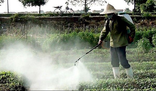 Thực phẩm kh&ocirc;ng an to&agrave;n chiếm 35% nguy&ecirc;n nh&acirc;n g&acirc;y ung thư tại VN.