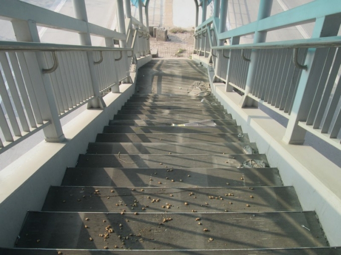 &nbsp;...&nbsp;tr&agrave;n ngập r&aacute;c thải.